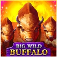 game logo by Belatra Games on n1betsnz.com