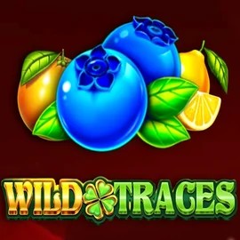 Official Slots logo: Wild Traces by Amusnet Interactive at N1Bet Casino